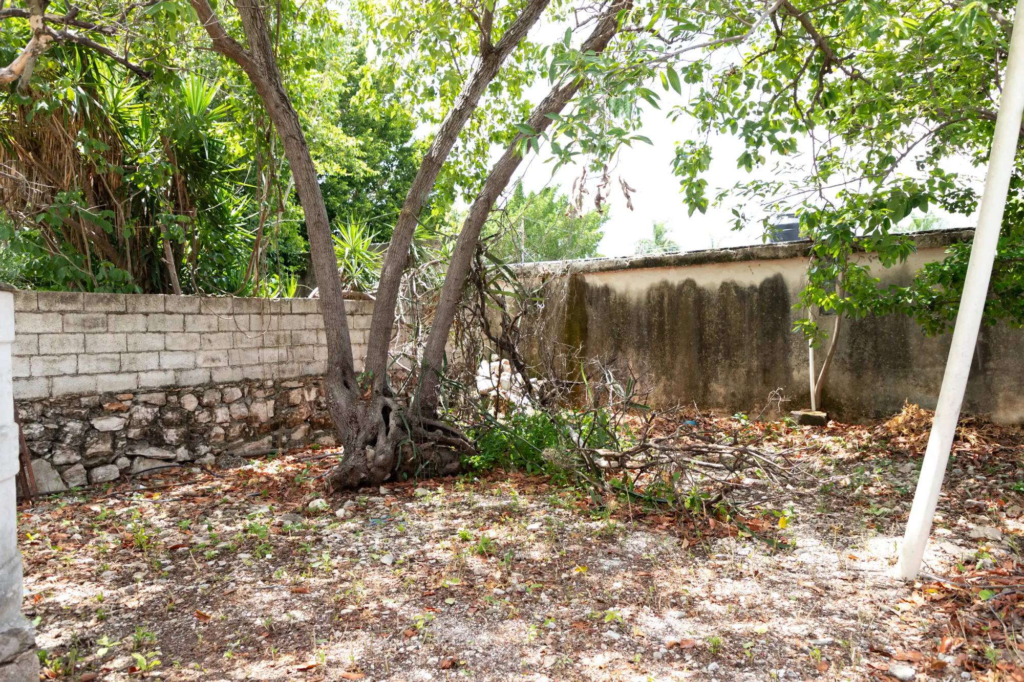 Foto 15 de 15: Casa de un piso en García Ginerés · Entrega inmediata