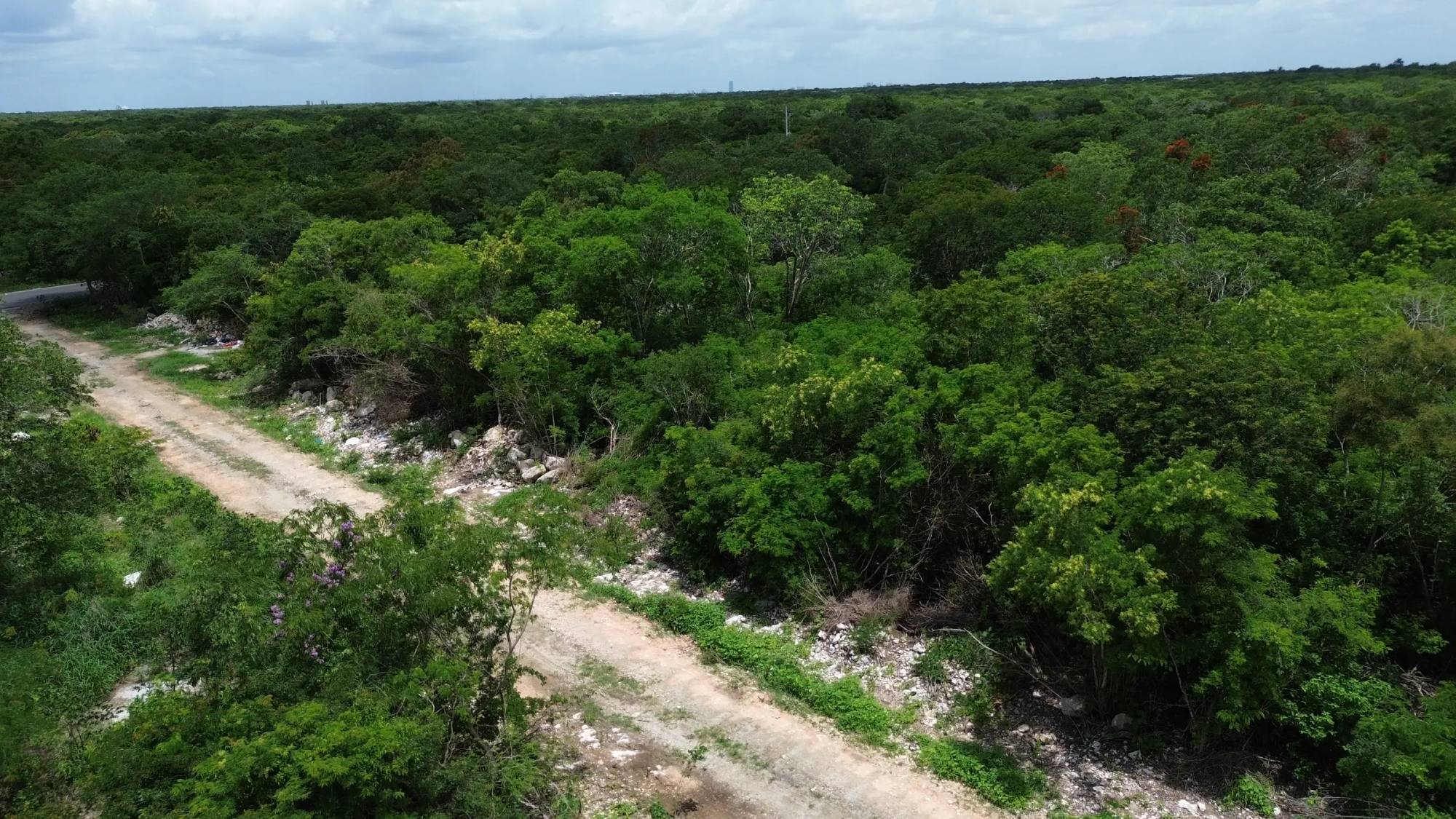 Foto 1 de 7: Terreno de 2 hectáreas en Dzidzilché · 21,615.43 m²
