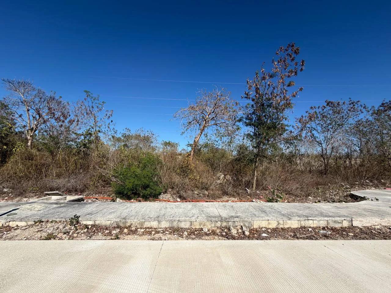 Foto 1 de 11: Terreno en Entre Parques Residencial, Conkal · Lote 22 de 327.61 m²