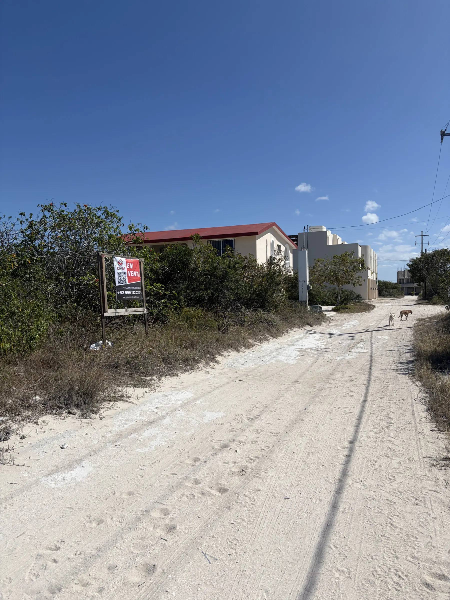 Foto 6 de 6: Terreno en Chicxulub Puerto · 500 m² a 150 m de la playa