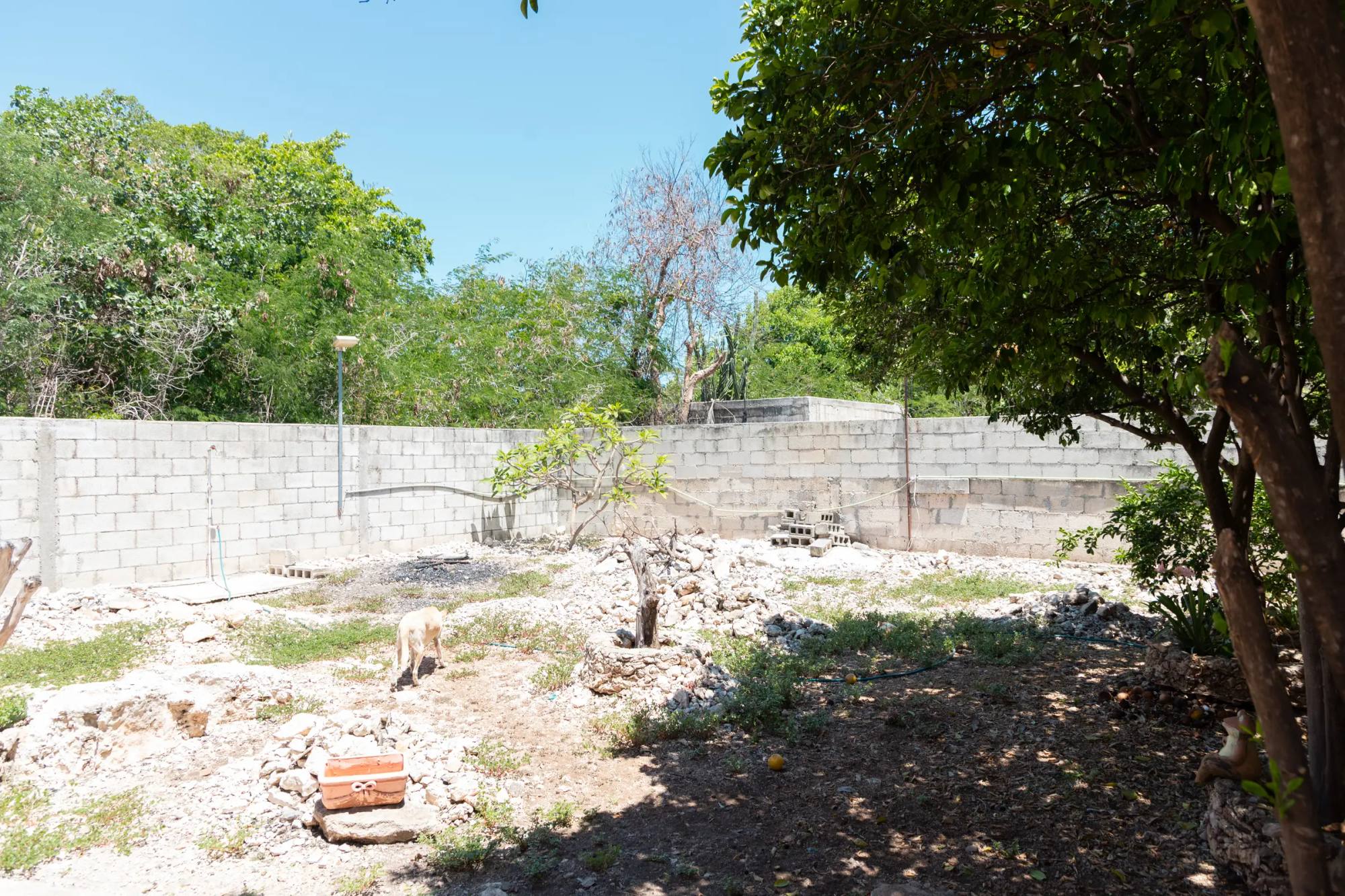 Foto 17 de 17: Casa de una planta en San Damián · 2 recámaras cerca del IMSS