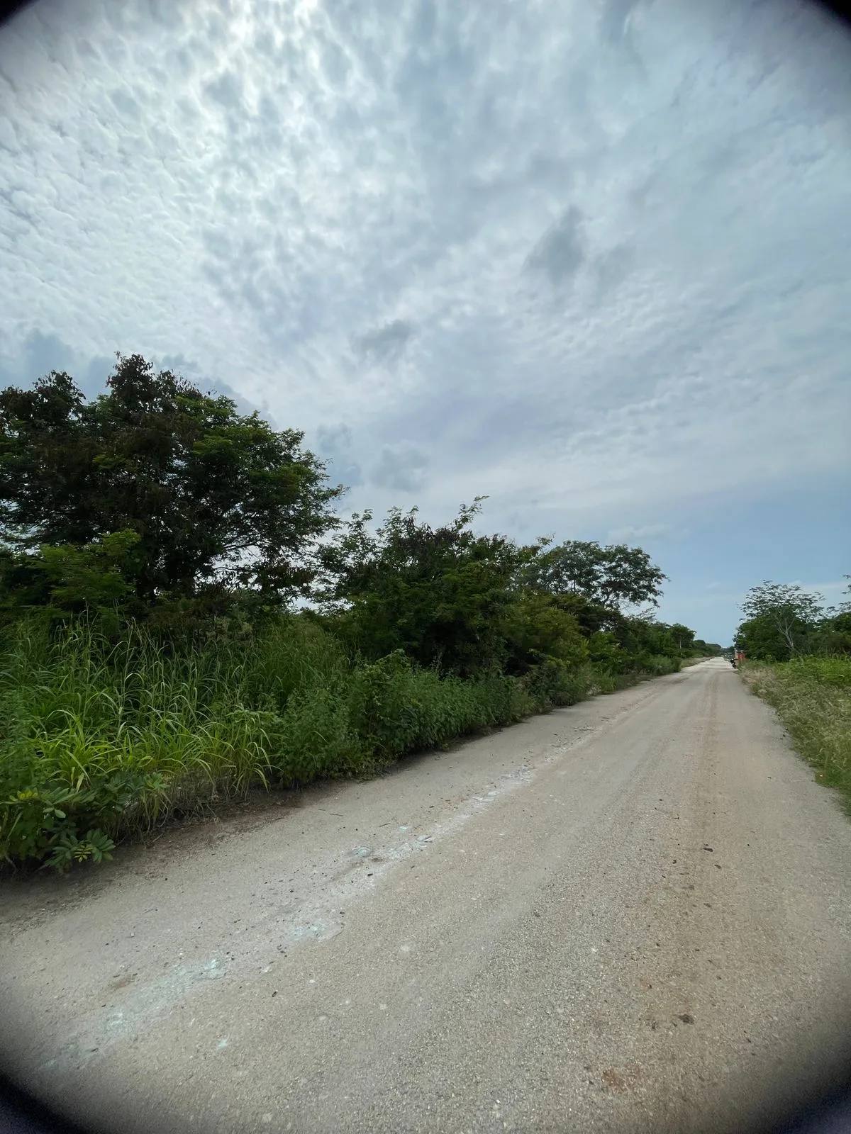 Foto 6 de 6: Terreno en esquina en Dzityá · 502.35 m² (lote 3)